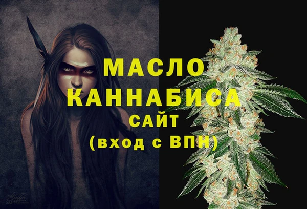 гашик Краснослободск