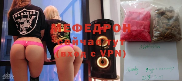 гашик Краснослободск