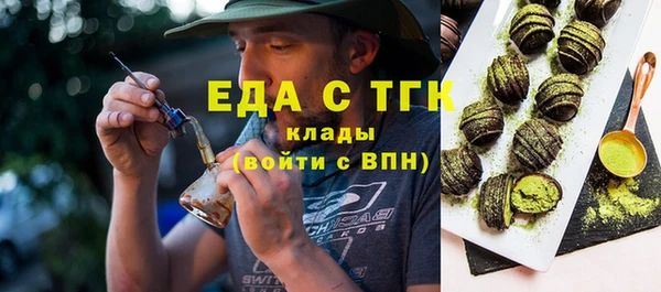 гашик Краснослободск