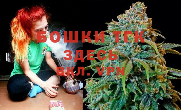 гашик Краснослободск