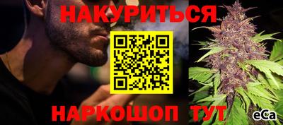 молекула духа Донской