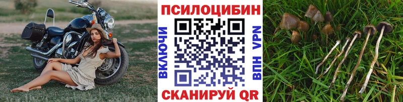 даркнет какой сайт  мега ссылка  Галлюциногенные грибы MAGIC MUSHROOMS  Хасавюрт  хочу  