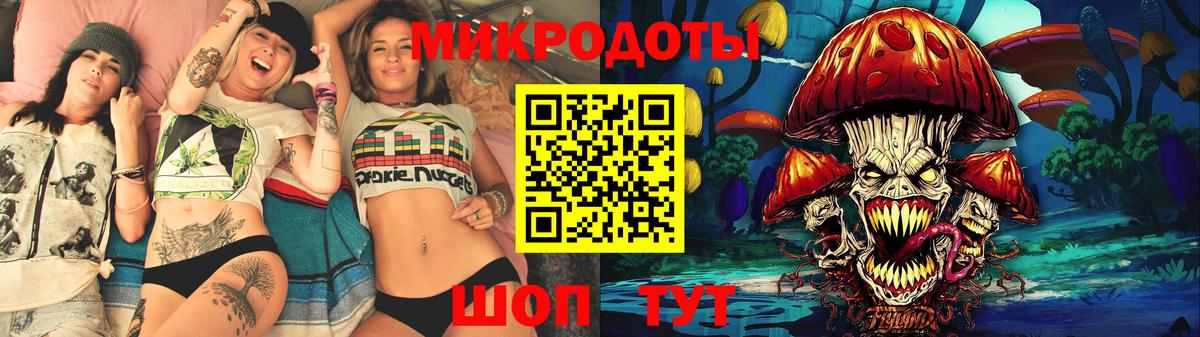 Псилоцибиновые грибы Psilocybe Хасавюрт