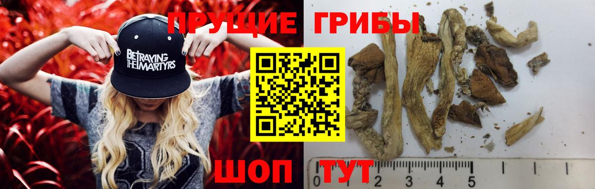 Галлюциногенные грибы прущие грибы  Вход с VPN  Хасавюрт  Псилоцибиновые грибы прущие грибы 